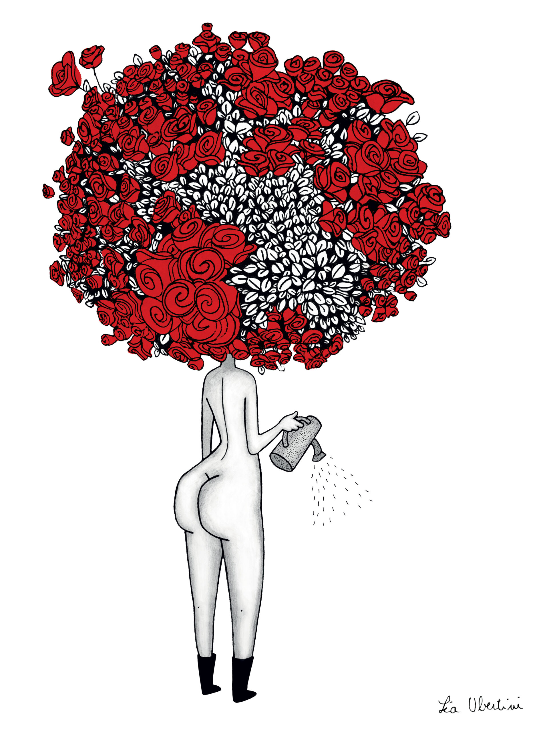 Illustration Le rosier Léa Ubertini