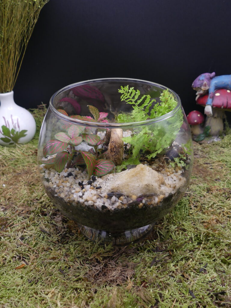 L'ÉchOppée Belle - compo végétales Le Florarium