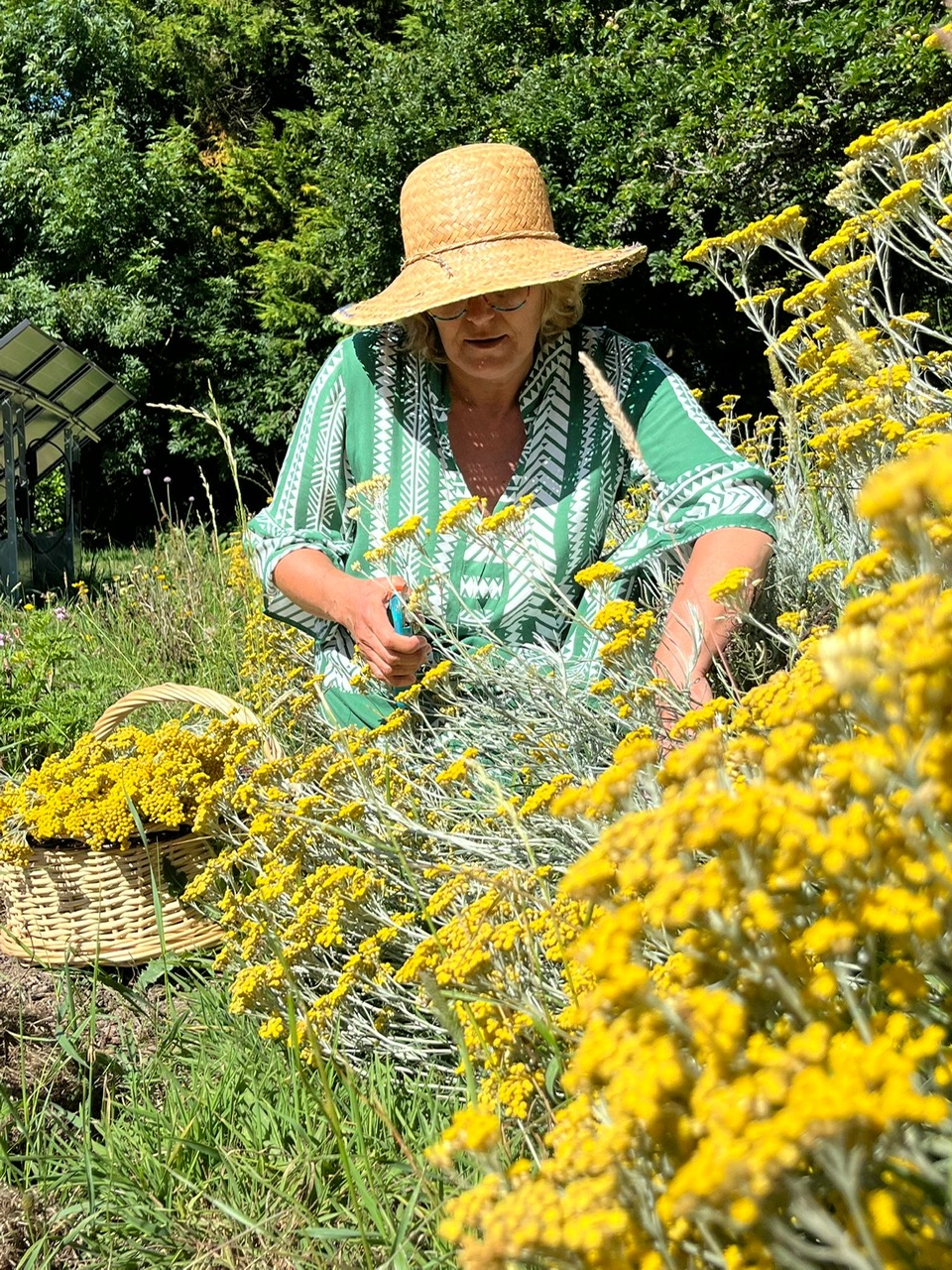 L'ÉchOppée Belle -portrait Tizao
