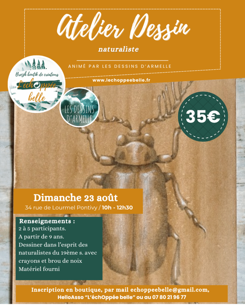 L'ÉchOppée Belle -atelier dessin naturaliste 23 aout